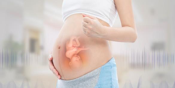 菠萝有助于受孕美国试管婴儿移植后的5个冷知识都看看
