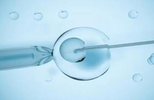 哪些因素影响泰国试管婴儿胚胎质量