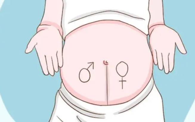 想做试管婴儿多囊卵巢有什么症状和表现