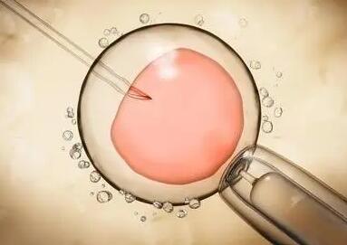 试管婴儿囊胚评分新标准正式发布这样选囊胚质量更好