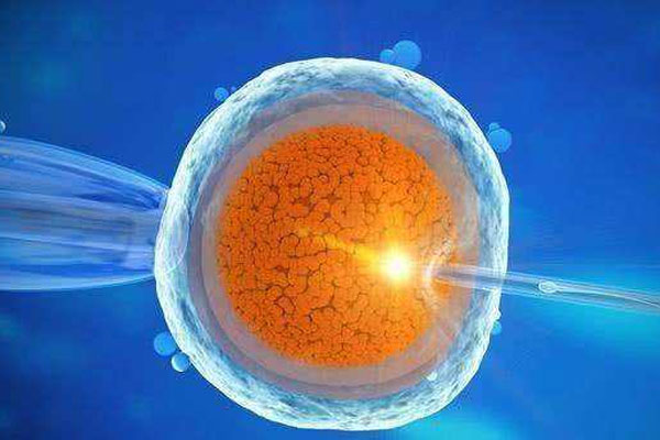 试管移植后能否弯腰捡东西，对胚胎产的负面影响详解