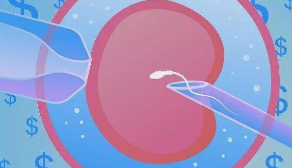 宫腔粘连怀孕的成功率大不大，和什么因素有关