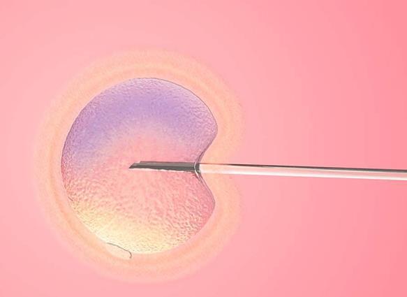 试管婴儿定方案后使用氯米芬促排卵的效果有差异吗，了解监测和预测排卵