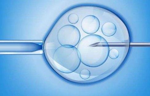 普遍囊胚移植美国试管婴儿着床率高并不是谣言